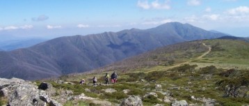 Alpine Walking in Autumn (079a) Jessie Bray (2)
