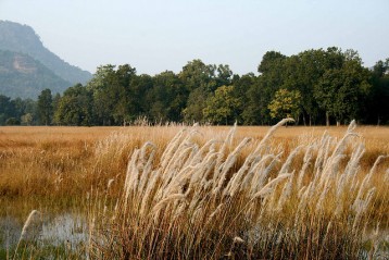 bandhavgarh-national-park