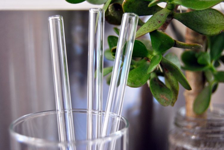 biome-reuseable straws