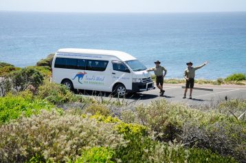 South West Eco Discoveries