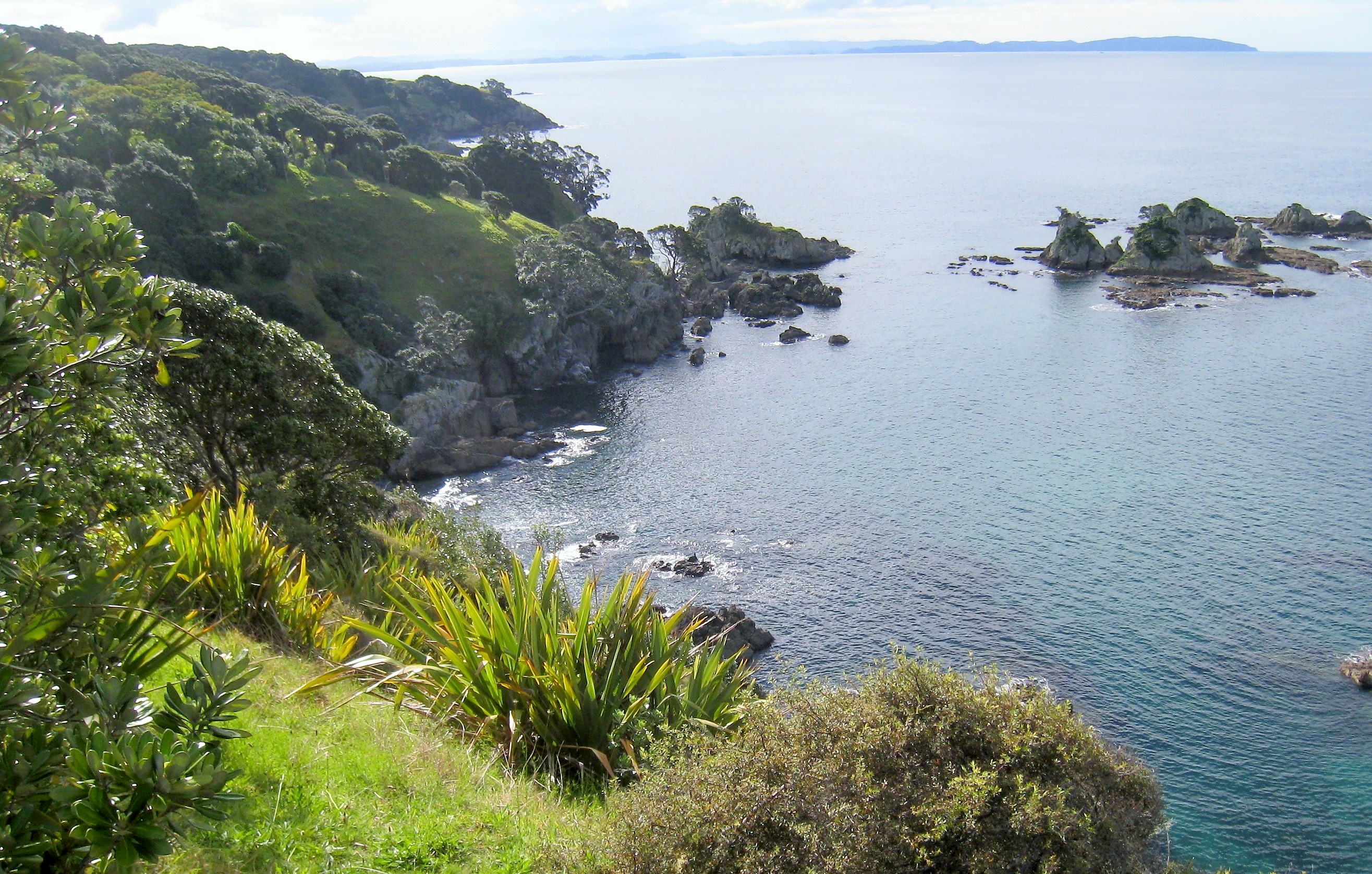 Tiritiri Matangi Island New Zealand